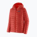 Herren Daunenjacke Patagonia Down Sweater Hoody amanita red 5