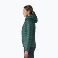 Damen Daunenjacke Patagonia Down Sweater Hoody cascade green 4