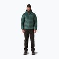 Herren Daunenjacke Patagonia Down Sweater Hoody cascade green 2