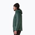 Herren Daunenjacke Patagonia Down Sweater Hoody cascade green 4
