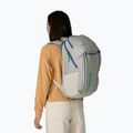 City-Rucksack Patagonia Black Hole Pack 32 l birch white 4