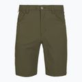 Herren-Trekking-Shorts Patagonia Quandary Basin Green