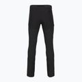 Trekkinghose Herren Patagonia Terravia Alpine black 2
