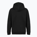 Herrenpullover Patagonia '95 Oval Logo Uprisal Hoody Black: Kaleido 2