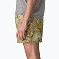 Herrenshorts Patagonia Baggies 5" shelly shelly/mellow melon 5