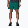 Herrenshorts Patagonia Baggies 5" 95 oval logo/gem green