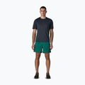 Herrenshorts Patagonia Baggies 5" 95 oval logo/gem green 2