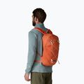 Tourenrucksack Patagonia Terravia Pack 14 l coal orange 3