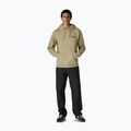 Herren Sweatshirt Patagonia P-6 Uprisal logo gumtree green 2