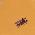 Herren-Shirt Patagonia '73 Skyline T-Shirt dried mango 3
