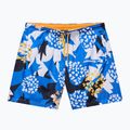 Napapijri V-Inuvik 1 aop fdb swim shorts 5
