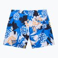 Napapijri V-Inuvik 1 aop fdb swim shorts 6