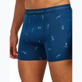 Thermoaktive Boxershorts Herren icebreaker Anatomica Snow Day atlantis/topaz/aop 6