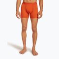 Thermoaktive Boxershorts Herren icebreaker Anatomica fervid 2