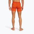 Thermoaktive Boxershorts Herren icebreaker Anatomica fervid 4