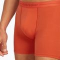 Thermo-Boxershorts für Männer Icebreaker Anatomica fervid 5