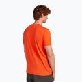 Herren-T-Shirt icebreaker Merino 150 Tech Lite Bear Tour fervid 3