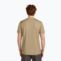 Shirt Herren icebreaker Merino 150 Tech Lite Ruapehu Round flagstone 3