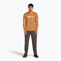 Shirt Herren icebreaker Merino 150 Tech Lite The Peaks trail 2