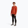 Herren Thermoaktivshirt icebreaker 200 Oasis Crewe agate 4