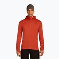 Icebreaker Merino 260 Quantum IV Zip Hoodie für Herren achat