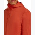 Icebreaker Merino 260 Quantum IV Zip Hoodie für Herren achat 8