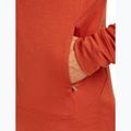 Icebreaker Merino 260 Quantum IV Zip Hoodie für Herren achat 9