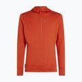 Icebreaker Merino 260 Quantum IV Zip Hoodie für Herren achat 10