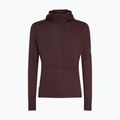 Icebreaker Merino 200 RealFleece Descender Zip Hoodie java trekking sweatshirt 10