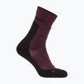 Herren-Socken icebreaker Merino Hike+ Heavy Crew java/schwarz