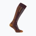 Skisocken Herren Icebreaker Merino Ski+ Medium OTC java/trail/seaglass