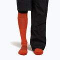 Herren Skisocken icebreaker Merino Ski+ Ultralight OTC fervid/agate 4