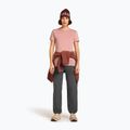 Damen-Trekking-T-Shirt icebreaker Merino 150 Tech Lite III Tee blush 4
