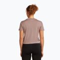 Damen T-Shirt icebreaker Merino 150 Tech Lite Crop The Climb summit 3