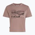 Damen T-Shirt icebreaker Merino 150 Tech Lite Crop The Climb summit 7