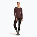 Icebreaker Damen Thermo-Longsleeve 200 Oasis Crewe java 5