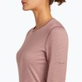 Damen Thermoaktivshirt icebreaker 200 Oasis Crewe summit/blush/s 5