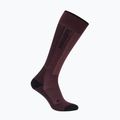 Skisocken Damen Icebreaker Merino Ski+ Light OTC java/black/summit
