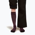 Skisocken Damen Icebreaker Merino Ski+ Light OTC java/black/summit 3