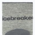 Damen Socken icebreaker Merino Hike+ Light Crew 2 pairs blizzar hthr/alloy 3