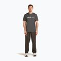 Herren T-Shirt icebreaker Merino 150 Tech Lite The Peaks obsigian 2