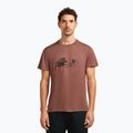Herren T-Shirt icebreaker Merino Core Canoe Companions carob