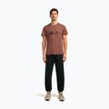 Herren T-Shirt icebreaker Merino Core Canoe Companions carob 2