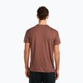 Herren T-Shirt icebreaker Merino Core Canoe Companions carob 3
