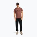 Herren T-Shirt icebreaker Merino Core Canoe Companions carob 4
