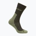 Herrensocken icebreaker Merino Hike+ Light Crew dark loden/lichen