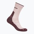 Damen Socken icebreaker Merino Hike+ Light Crew pink quartz/java