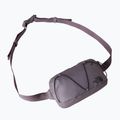 Bauchtasche The North Face Terra Lumbar 1 l transcendent grey 3