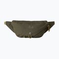 Bauchtasche The North Face Glen Canyon Lumbar cedar/new taupe green
