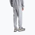 Herrenhose The North Face Evolution Simple Dome Regular Jogger tnf pale grey h 3